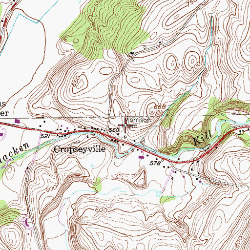 Topographic Map of Morrison Cemetery, NY