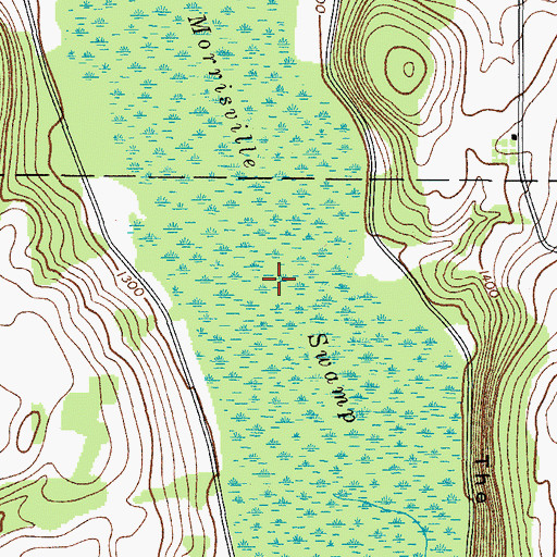 Topographic Map of Morrisville Swamp, NY