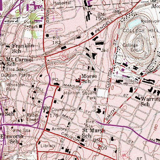Topographic Map of Morse Young Child Magnet School, NY