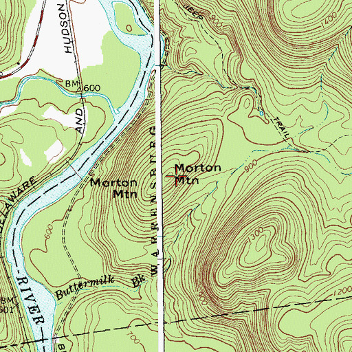 Topographic Map of Morton Mountain, NY