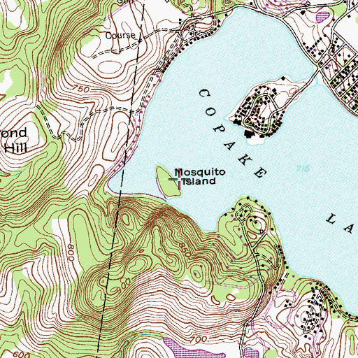 Topographic Map of Mosquito Island, NY