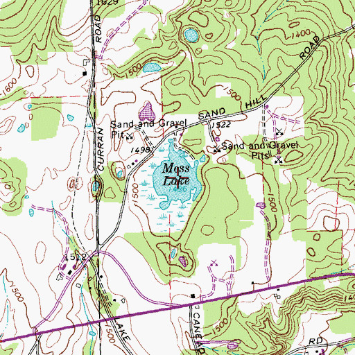 Topographic Map of Moss Lake, NY