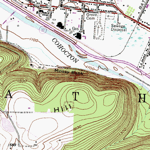 Topographic Map of Mossy Bank, NY