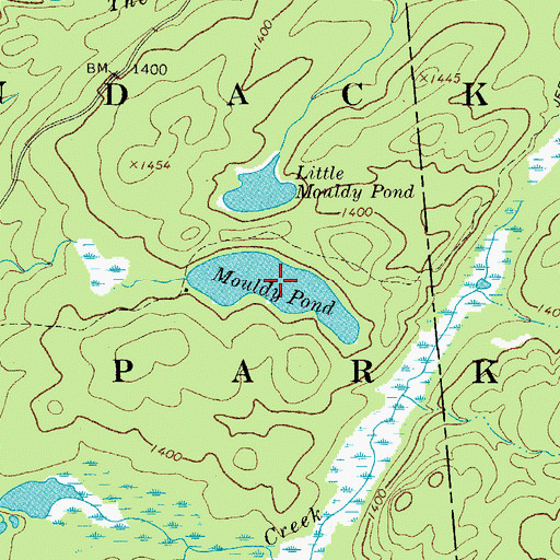 Topographic Map of Mouldy Pond, NY