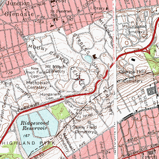 Topographic Map of Mount Carmel Cemetery, NY