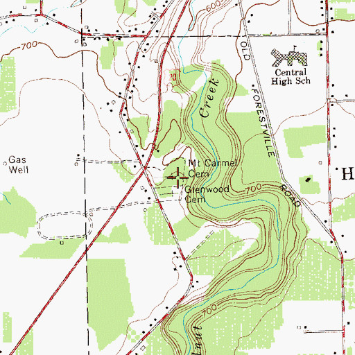 Topographic Map of Mount Carmel Cemetery, NY