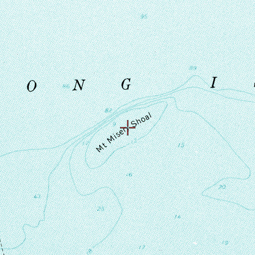 Topographic Map of Mount Misery Shoal, NY