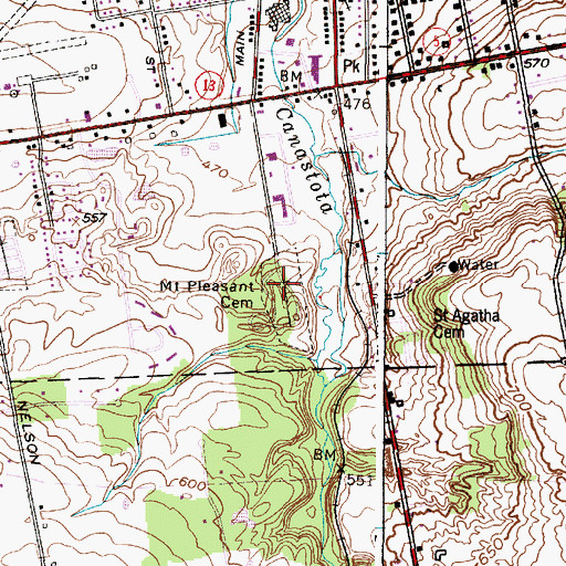 Topographic Map of Mount Pleasant Cemetery, NY