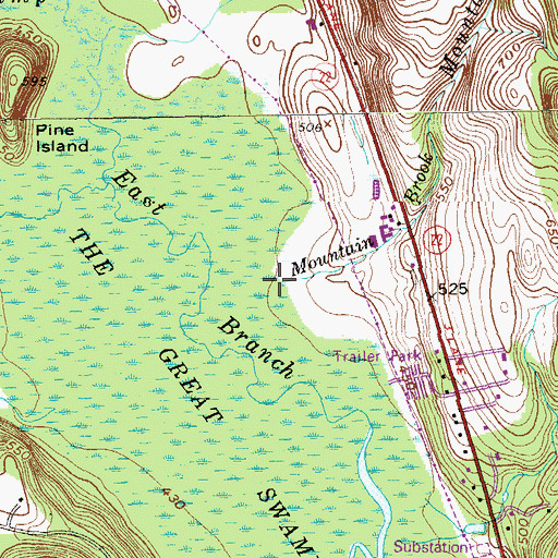 Topographic Map of Mountain Brook, NY