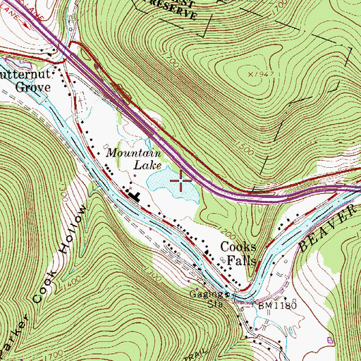 Topographic Map of Mountain Lake, NY