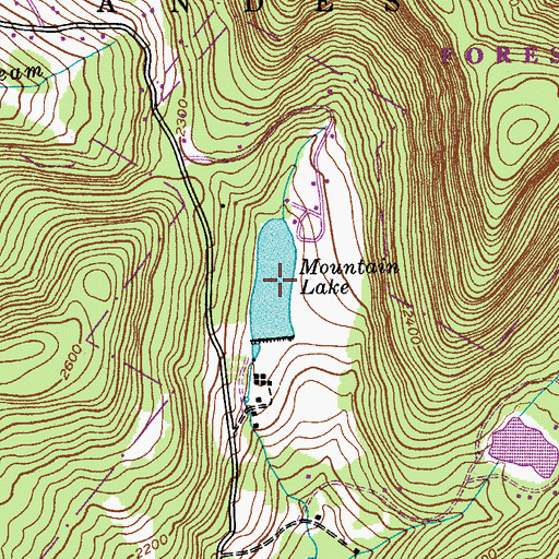 Topographic Map of Mountain Lake, NY