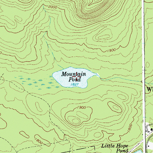 Topographic Map of Mountain Pond, NY
