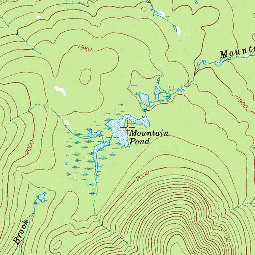 Topographic Map of Mountain Pond, NY