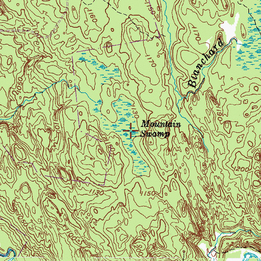 Topographic Map of Mountain Swamp, NY