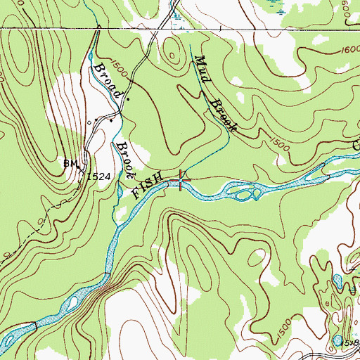 Topographic Map of Mud Brook, NY
