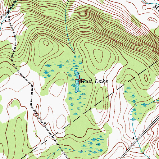 Topographic Map of Mud Lake, NY