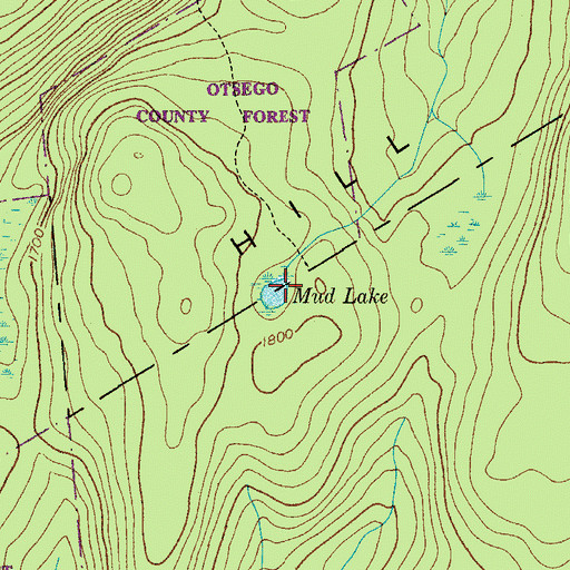 Topographic Map of Mud Lake, NY