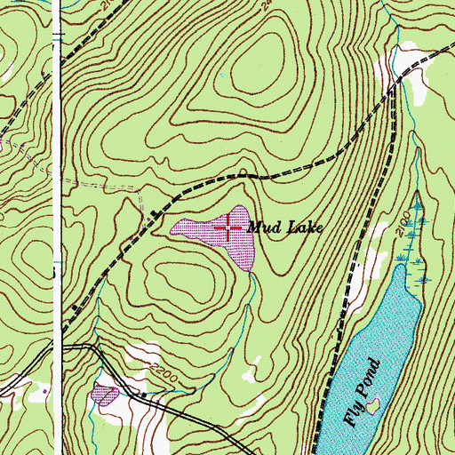 Topographic Map of Mud Lake, NY