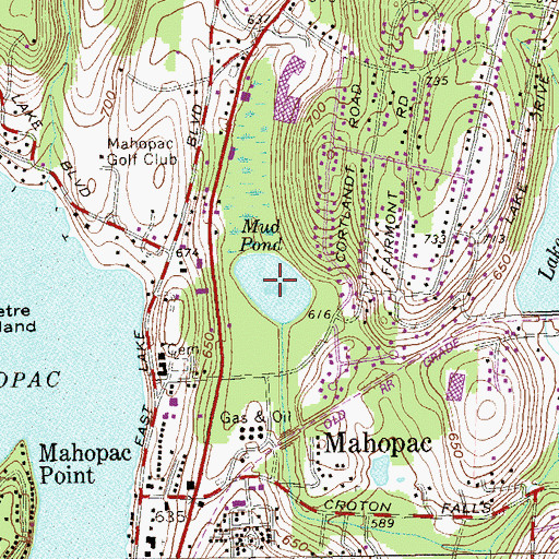 Topographic Map of Mud Pond, NY