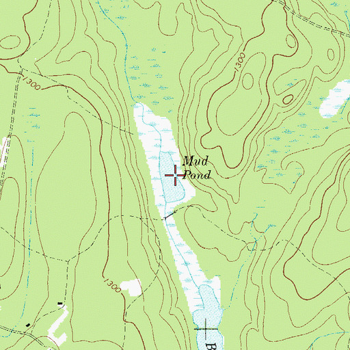 Topographic Map of Mud Pond, NY