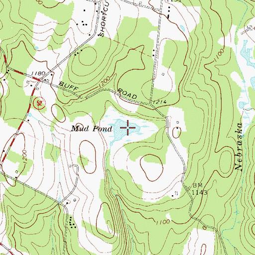 Topographic Map of Mud Pond, NY