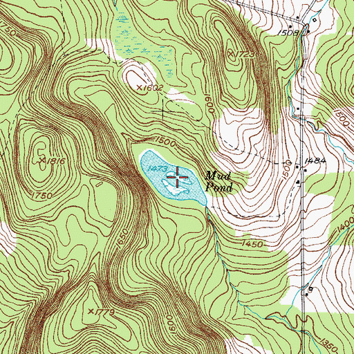 Topographic Map of Mud Pond, NY