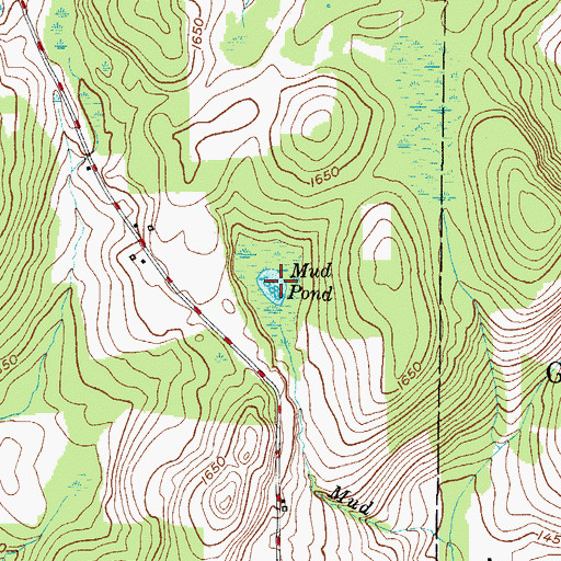 Topographic Map of Mud Pond, NY