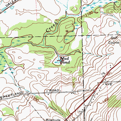 Topographic Map of Mud Pond, NY