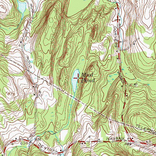 Topographic Map of Mud Pond, NY
