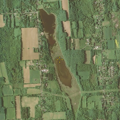 Aerial/Satellite Image of Mud Pond, NY