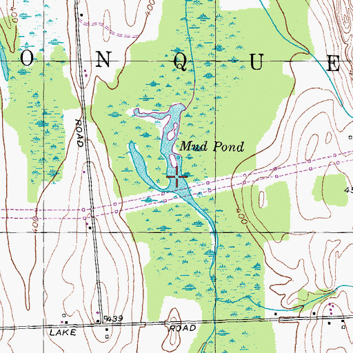 Topographic Map of Mud Pond, NY
