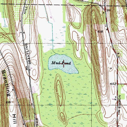 Topographic Map of Mud Pond, NY