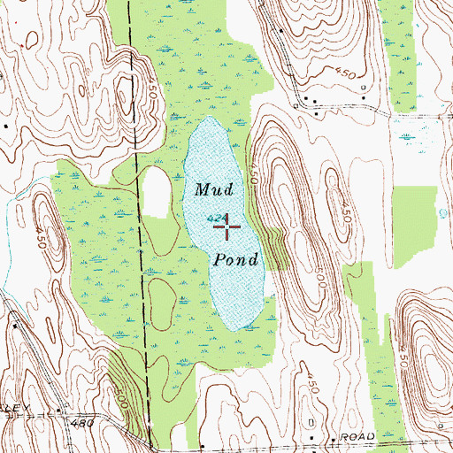 Topographic Map of Mud Pond, NY
