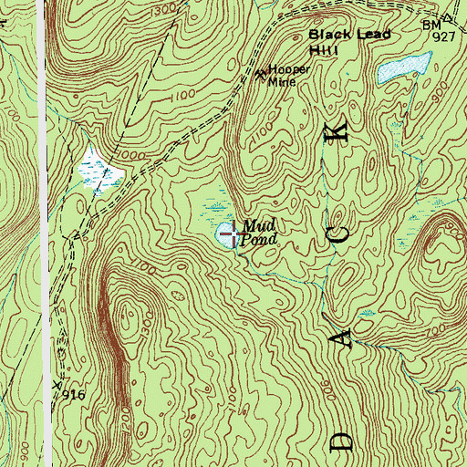 Topographic Map of Mud Pond, NY