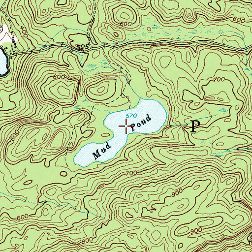Topographic Map of Mud Pond, NY