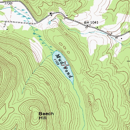 Topographic Map of Mud Pond, NY