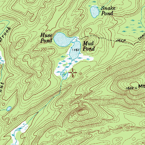 Topographic Map of Mud Pond, NY