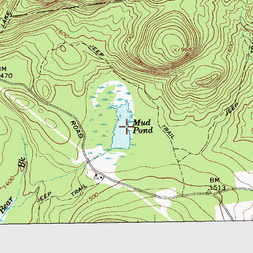 Topographic Map of Mud Pond, NY