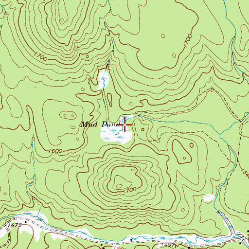 Topographic Map of Mud Pond, NY