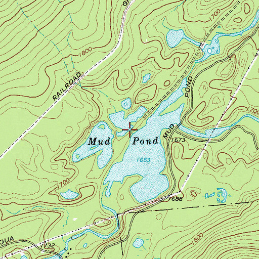 Topographic Map of Mud Pond, NY