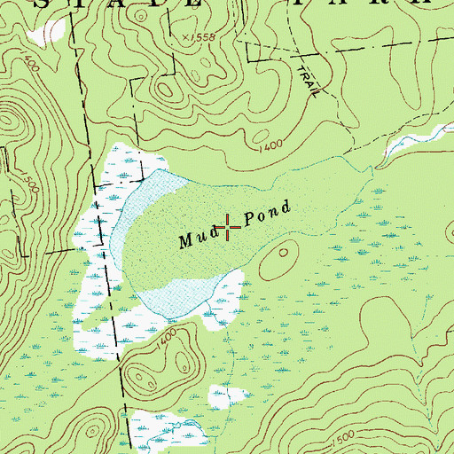 Topographic Map of Mud Pond, NY