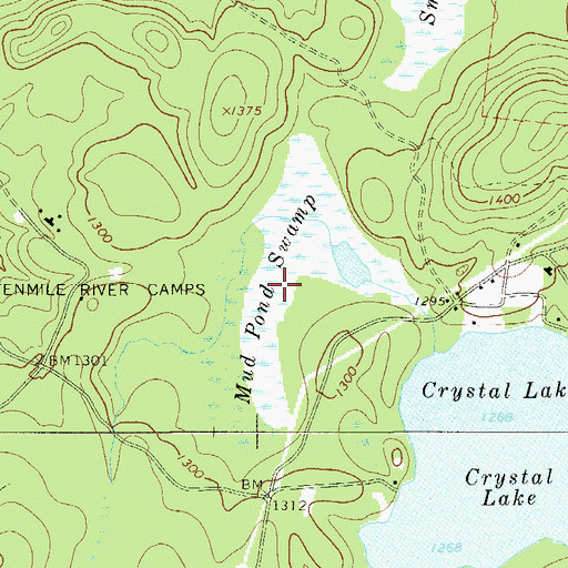 Topographic Map of Mud Pond Swamp, NY