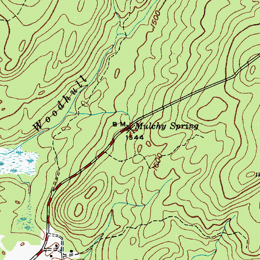 Topographic Map of Mulchy Spring, NY