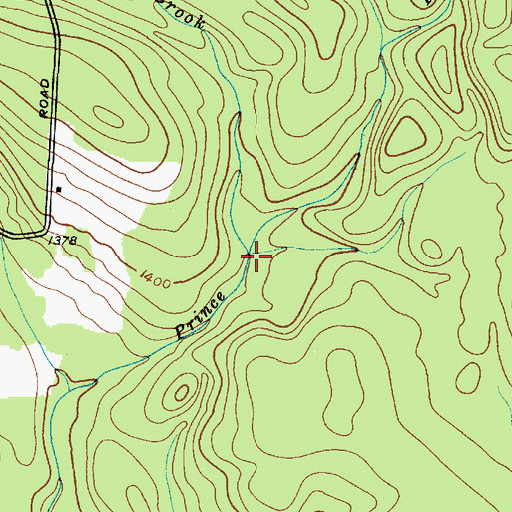 Topographic Map of Mulligan Brook, NY