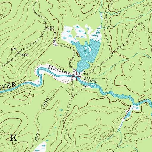 Topographic Map of Mullins Flow, NY