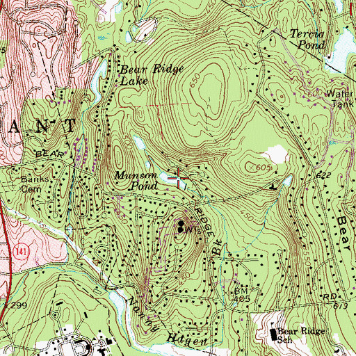 Topographic Map of Munson Pond, NY