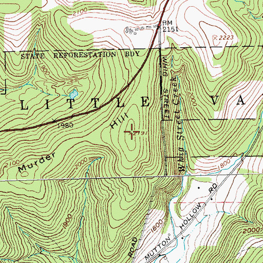 Topographic Map of Murder Hill, NY