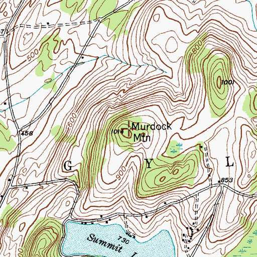 Topographic Map of Murdock Mountain, NY