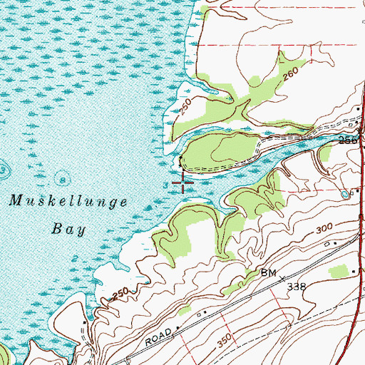 Topographic Map of Muskellunge Creek, NY