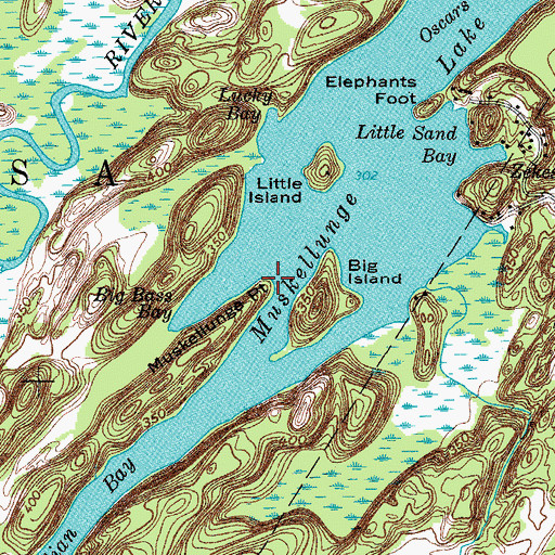 Topographic Map of Muskellunge Point, NY